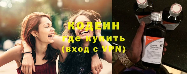 шишки Лагань