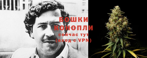 шишки Лагань