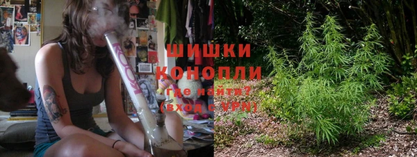 шишки Лагань