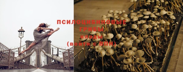 шишки Лагань